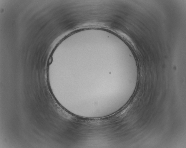 X0000073951288200609181352