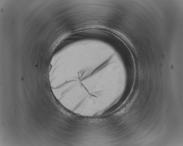 X0000073951289200609181352