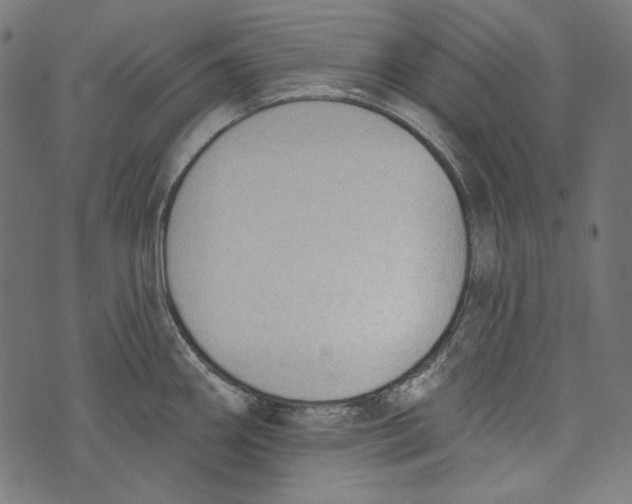 X0000073951290200609181352