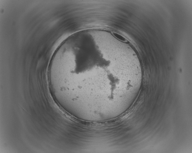 X0000073951291200609181352