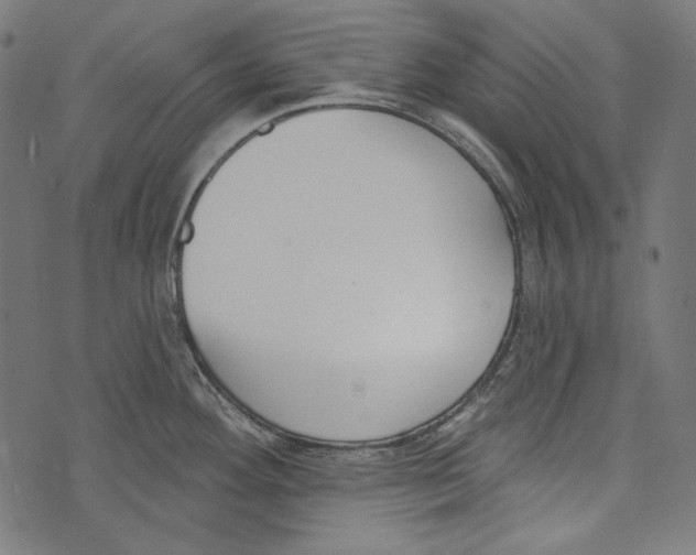 X0000073951292200609181352