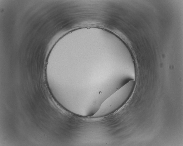 X0000073951296200609181352