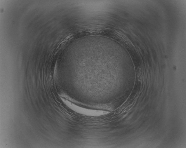 X0000073951298200609181351