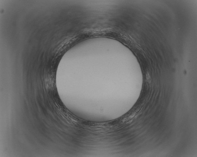 X0000073951300200609181351