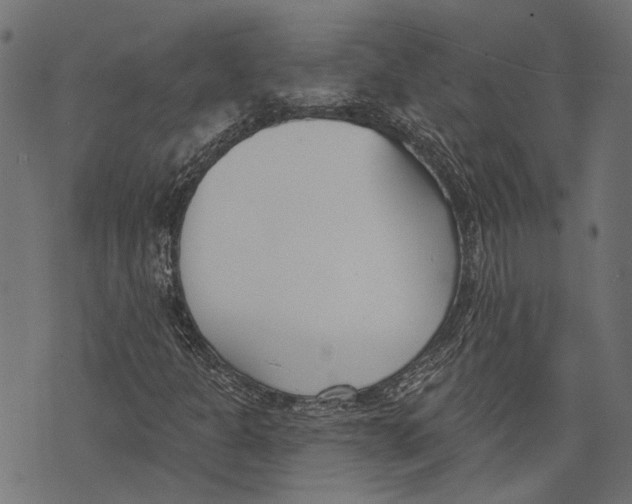 X0000073951301200609181351