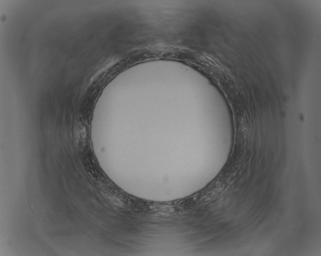 X0000073951302200609181351