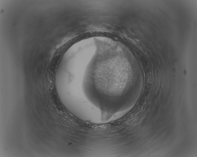 X0000073951303200609181351