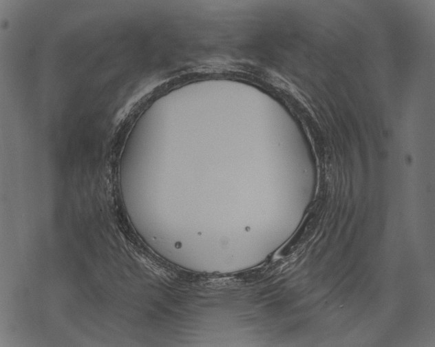 X0000073951304200609181351