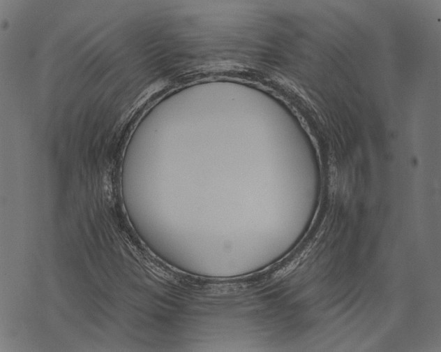 X0000073951305200609181351