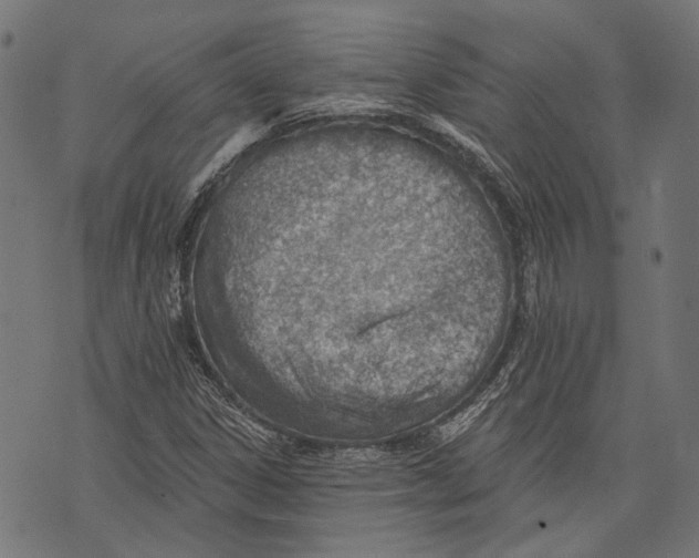 X0000073951306200609181351