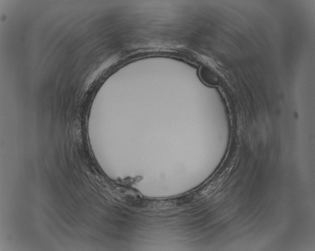 X0000073951307200609181351