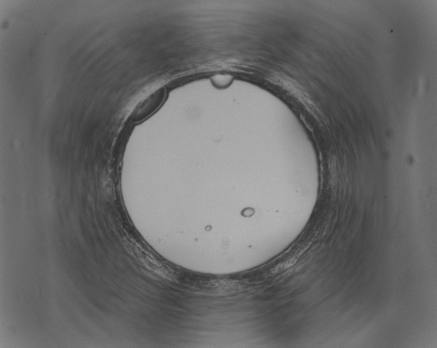 X0000073951308200609181351