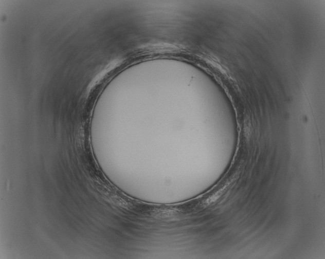 X0000073951309200609181351