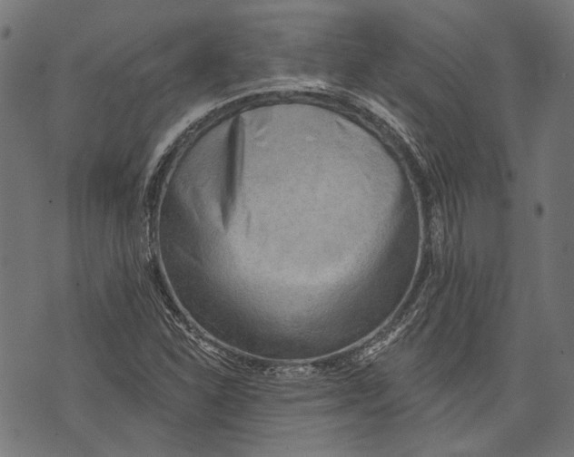 X0000073951310200609181351