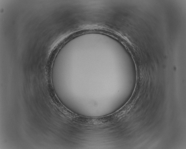 X0000073951311200609181351