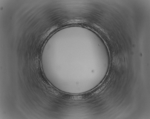 X0000073951313200609181351