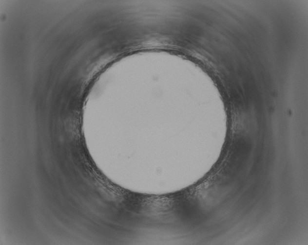 X0000073951314200609181351