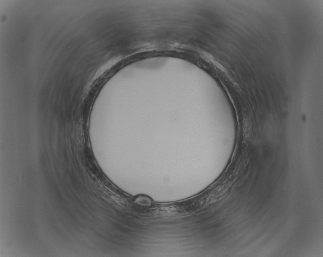 X0000073951315200609181351