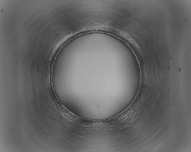 X0000073951316200609181351