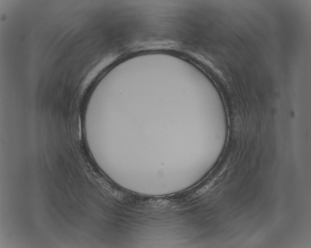 X0000073951317200609181351