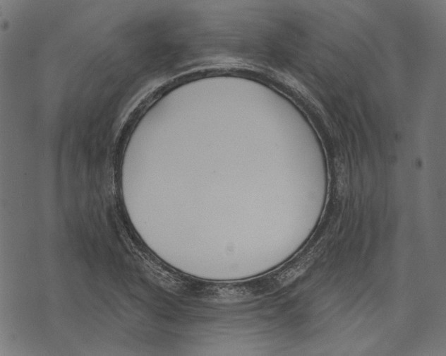 X0000073951318200609181351