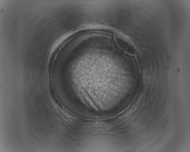 X0000073951319200609181351