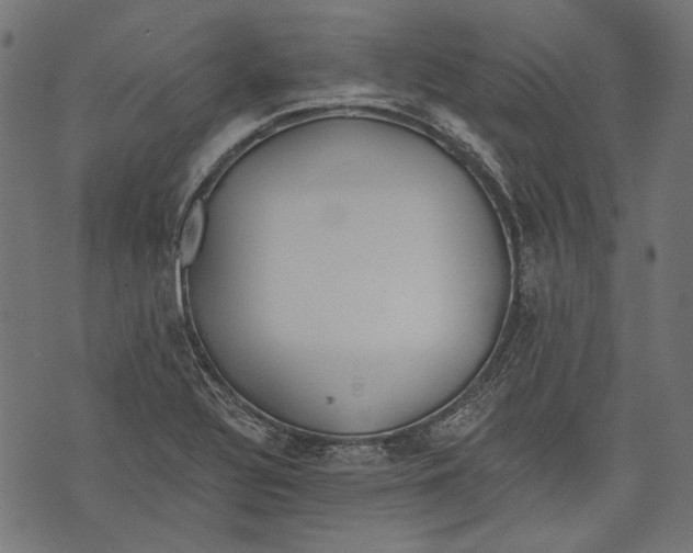 X0000073951320200609181351