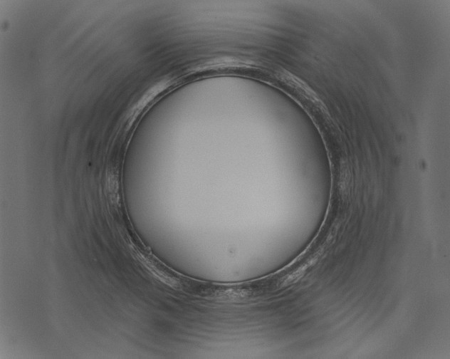 X0000073951321200609181351