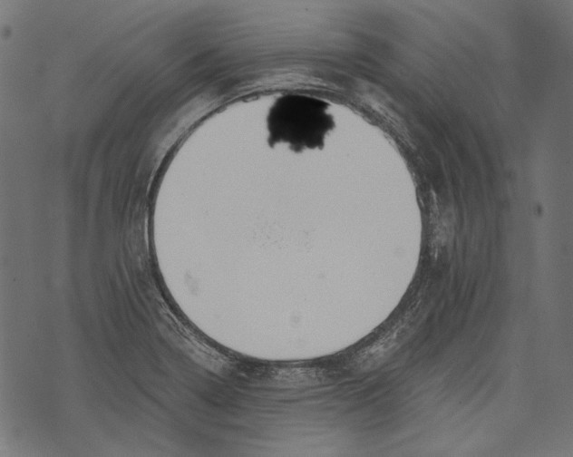 X0000073951322200609181351