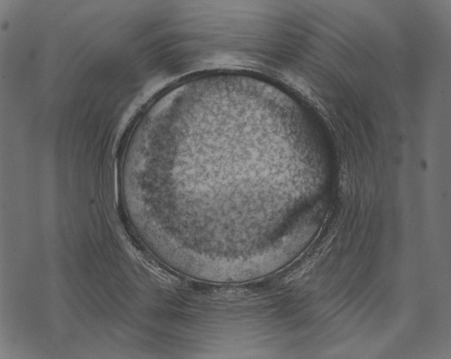 X0000073951323200609181351