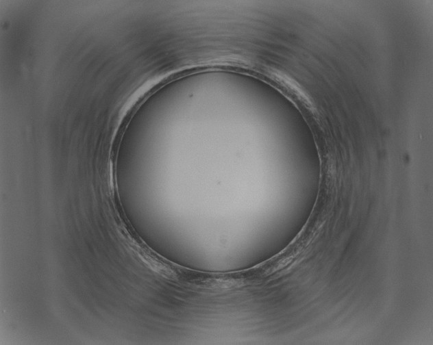 X0000073951324200609181351