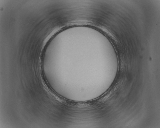 X0000073951325200609181351