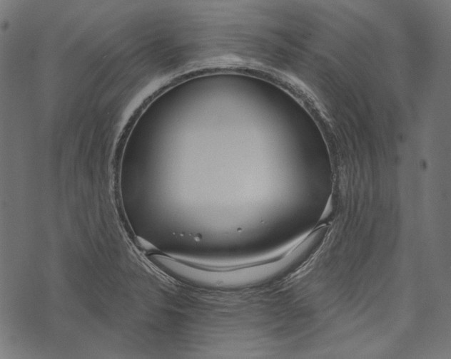 X0000073951326200609181351