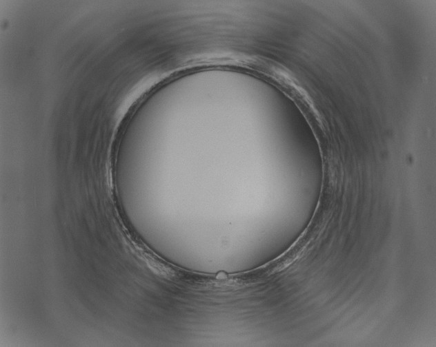 X0000073951328200609181351