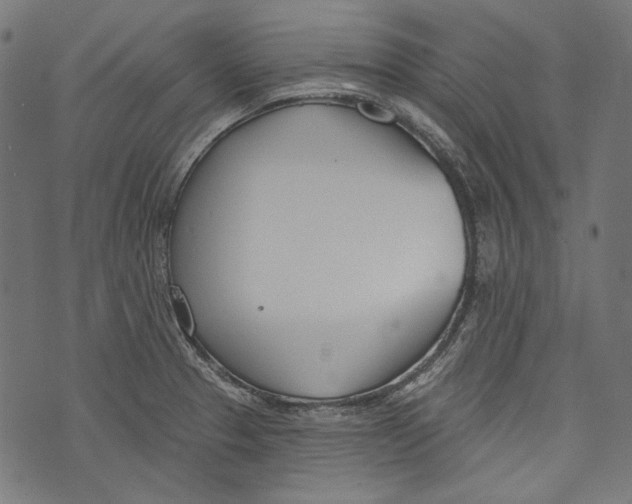 X0000073951329200609181351