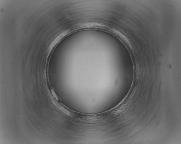 X0000073951330200609181351