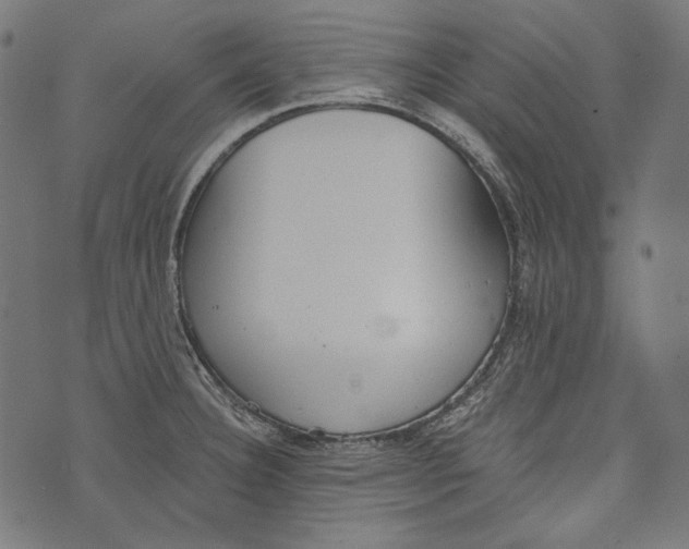 X0000073951332200609181351