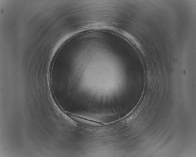 X0000073951334200609181351