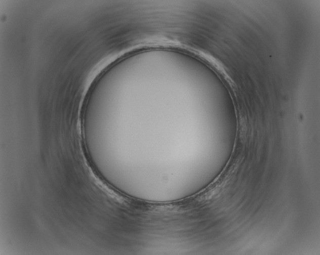 X0000073951335200609181351