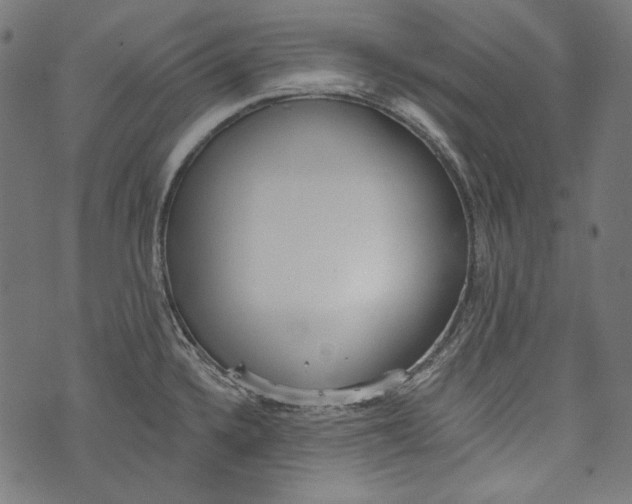 X0000073951336200609181351