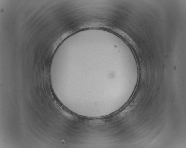 X0000073951337200609181351