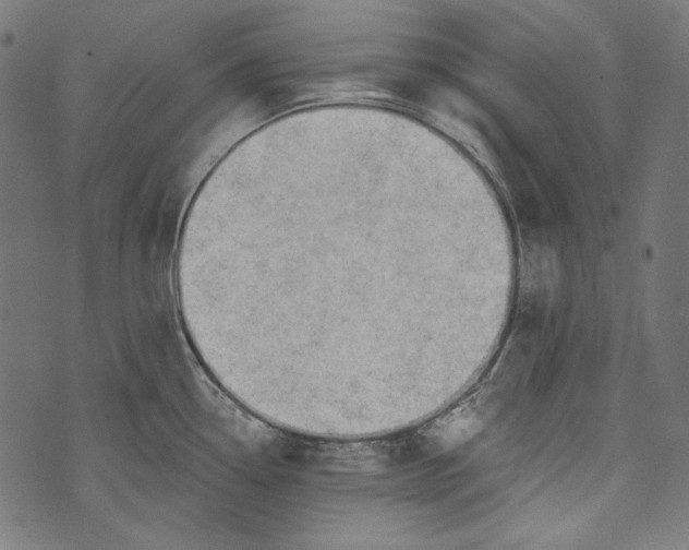 X0000073951338200609181351