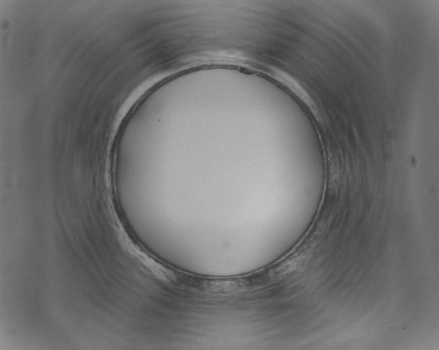 X0000073951339200609181351