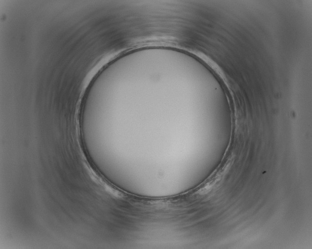 X0000073951341200609181351