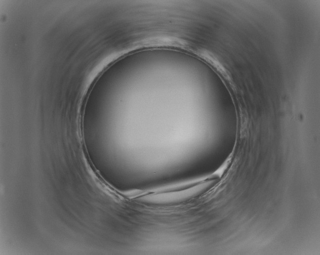 X0000073951342200609181351