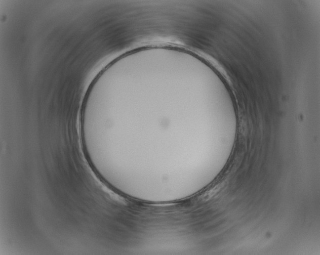 X0000073951343200609181351