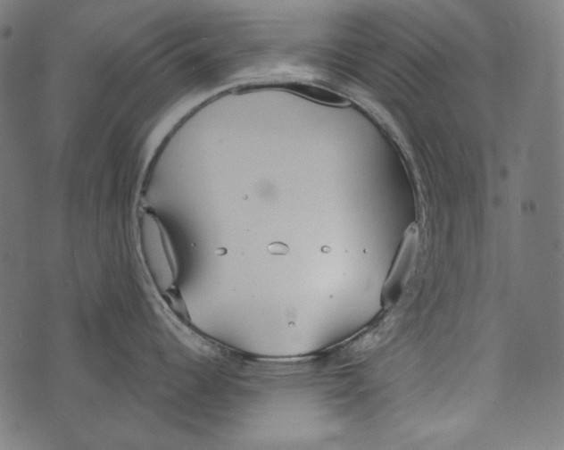 X0000073951344200609181352