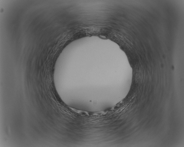 X0000073951345200609181351