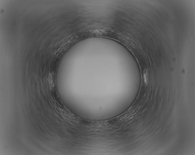 X0000073951347200609181351