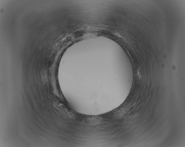 X0000073951348200609181351